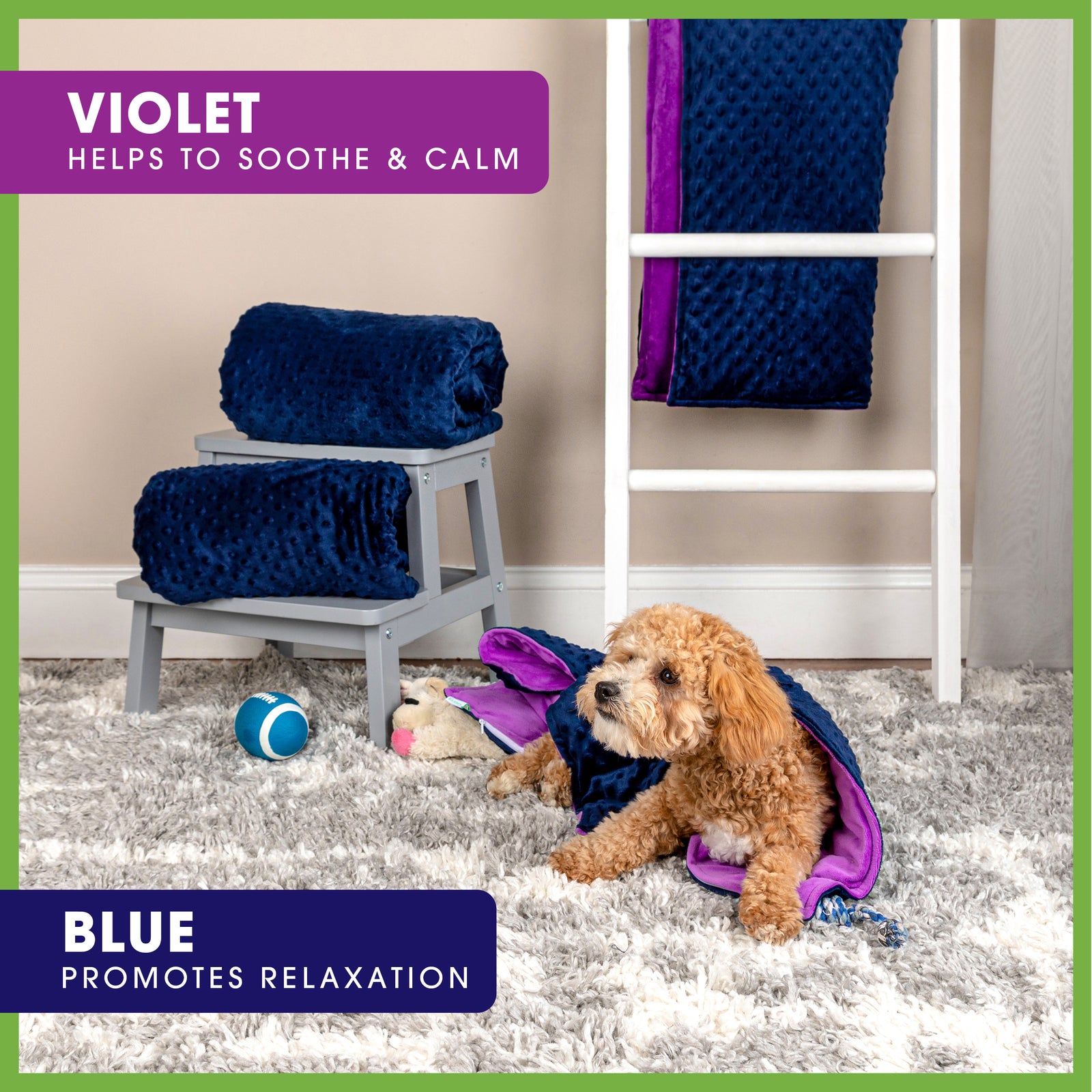 Gravity blanket for dogs new arrivals